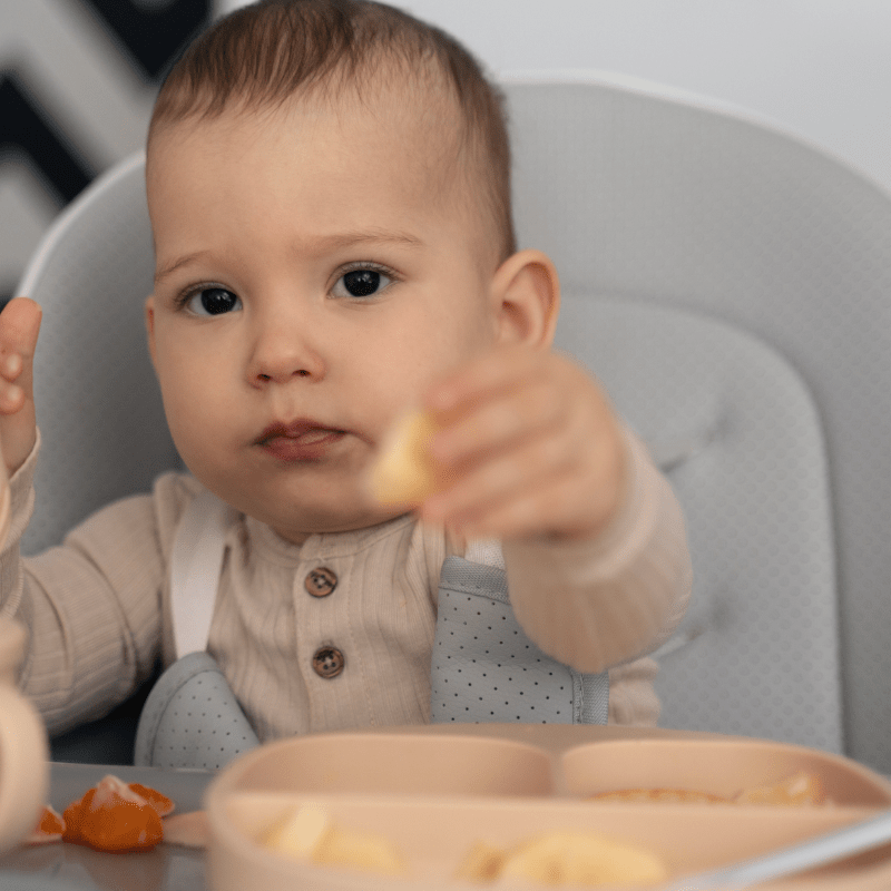 Le guide ultime pour des repas équilibré